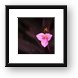 Flower macro Framed Print