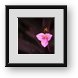 Buy Framed Print