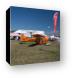 Art Mortvedt's Cessna 185 - The Polar Pumpkin - N90SN Canvas Print