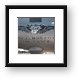 Buy Framed Print