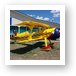 Jim Kimball Enterprises Pitts Model 12 biplane N393EC Art Print
