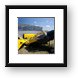 N60491 Kitfox built by boyscouts, destroyed in 2011 storm Framed Print