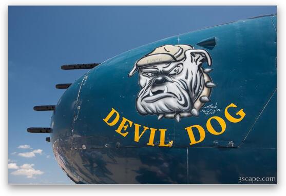 North American B-25 Mitchell - CAF Devil Dog Fine Art Metal Print