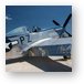 North American P-51D Mustang - Little Rebel N5551D Metal Print