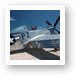 North American P-51D Mustang - Little Rebel N5551D Art Print