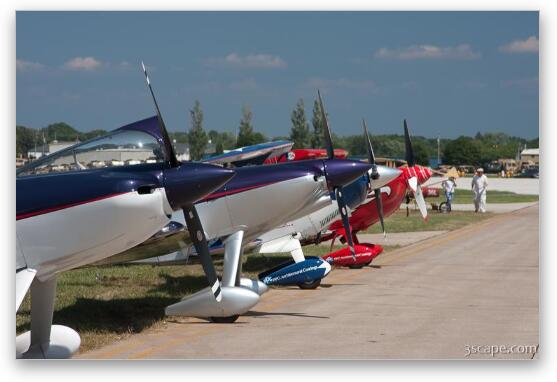 Airplanes lined up at EAA Fine Art Metal Print