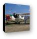 Edgar Percival Aircraft EP-9 N747JC Canvas Print