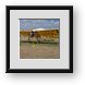 Buy Framed Print