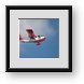 Buy Framed Print