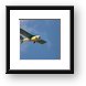 Buy Framed Print