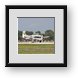 Buy Framed Print