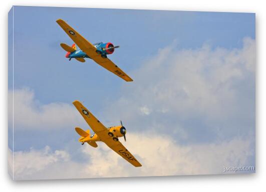 North American T-6 Texans in formation Fine Art Canvas Print