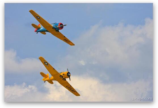 North American T-6 Texans in formation Fine Art Metal Print