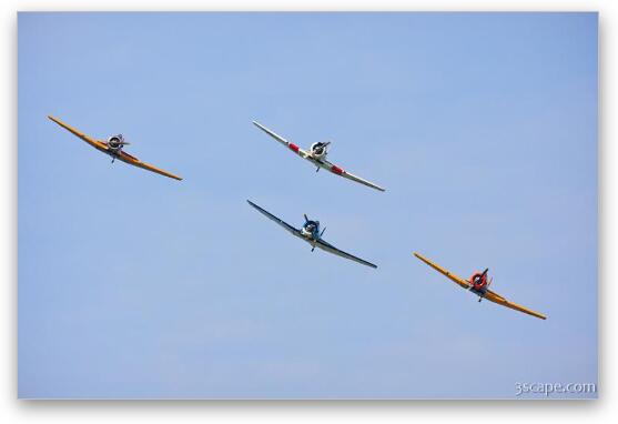 North American T-6 Texans in formation Fine Art Metal Print