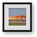 Buy Framed Print