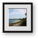 Buy Framed Print