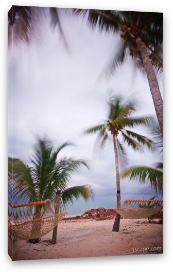 Palm trees and hammocks swaying in the breeze Fine Art Canvas Print