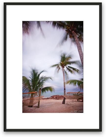 Palm trees and hammocks swaying in the breeze Framed Fine Art Print