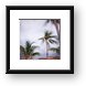 Palm trees and hammocks swaying in the breeze Framed Print