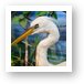 Great White Egret Art Print