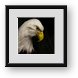 Buy Framed Print