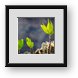 Buy Framed Print
