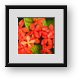 Buy Framed Print