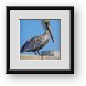 Buy Framed Print