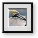 Buy Framed Print