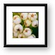 White berries macro Framed Print