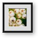 Buy Framed Print