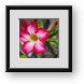 Buy Framed Print