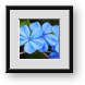 Buy Framed Print