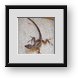Buy Framed Print
