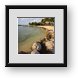 Buy Framed Print