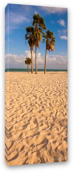 Palm trees at Sombrero Beach, Marathon Key Fine Art Canvas Print