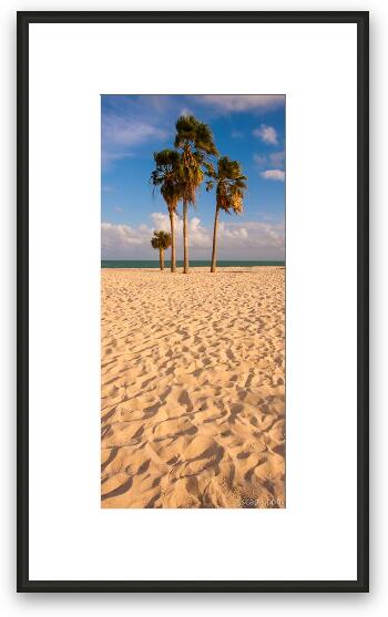 Palm trees at Sombrero Beach, Marathon Key Framed Fine Art Print