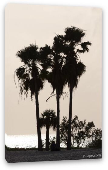 Palm tree silhouette, Sombrero Beach, Marathon Key Fine Art Canvas Print