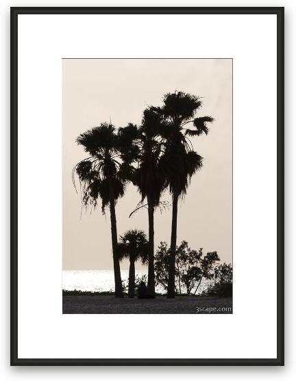 Palm tree silhouette, Sombrero Beach, Marathon Key Framed Fine Art Print
