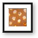 Backlit coral macro Framed Print