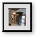 Buy Framed Print