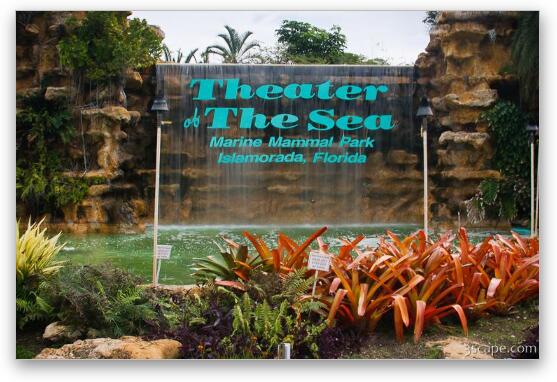 Theater of the Sea, Islamorada Fine Art Metal Print