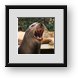 Buy Framed Print