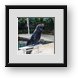 Buy Framed Print