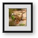 Buy Framed Print
