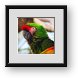 Buy Framed Print