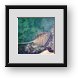 Buy Framed Print