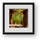 Buy Framed Print