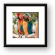 Macaw Parrots Framed Print