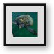 Buy Framed Print